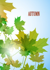 Leaflet cover presentation abstract geometric background, layout in A4 set technology brochure flyer design template vector shadow