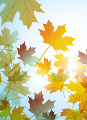 Leaflet cover presentation abstract geometric background, layout in A4 set technology brochure flyer design template vector shadow