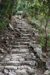 Lantau Island. Hong Kong. China. The stone path to the peak