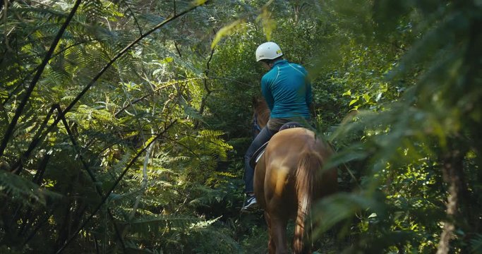 Slow motion young woman on horse riding through the forest