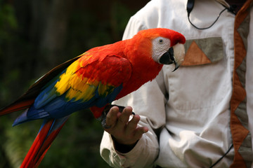 Ocean Park, Hong Kong