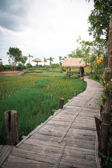 Rice fields and wooden huts amidst nature and sky.