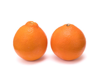 オレンジ　ミネオラ