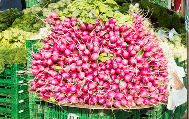 Fresh vegetables, huge pile of radishes at a farmer's market