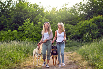 Zwei Frauen gehen mit ihren Hunden spazieren