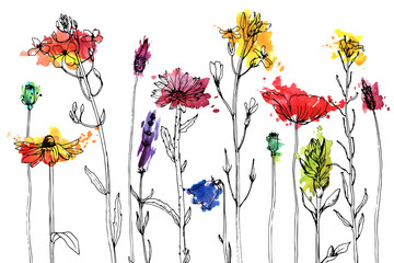 Vector drawing herbs and flowers