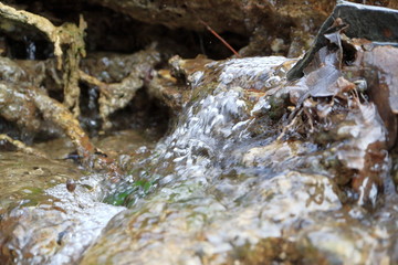Picture of the clear water of a mountain stream.
