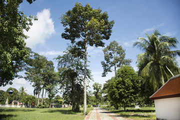 Fototapeta na wymiar Garden of Wat Kiean Bang Kaew in Phatthalung, Thailand