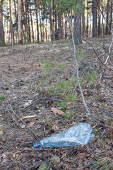 Plastic bottle littering forest areas