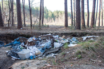 Garbage in the forest. Nature pollution.