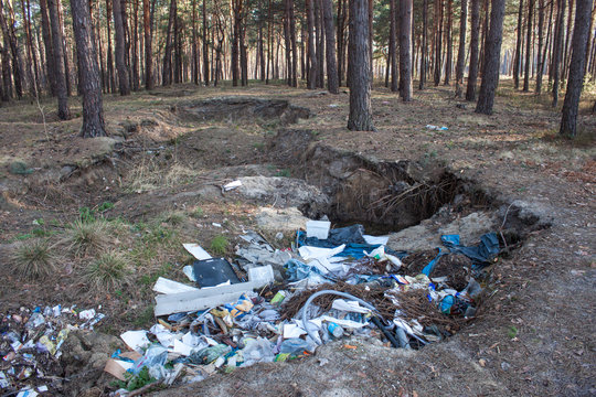 Garbage in the forest. Nature pollution.