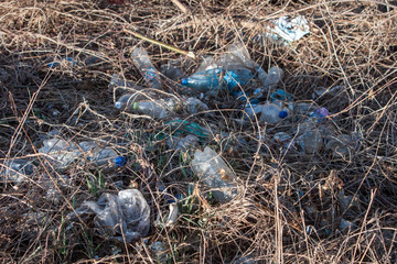 Garbage pollution in the forest