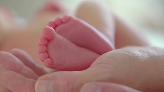 Baby feet in parent's hands. Tiny newborn baby's feet on hands closeup. Happy family concept. Slow motion. 3840X2160 4K UHD video footage
