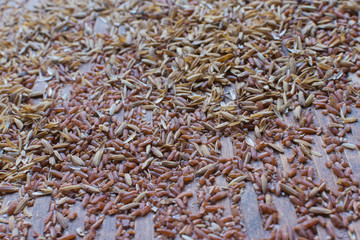 brown rice and husk