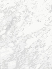 White marble texture Vector background.