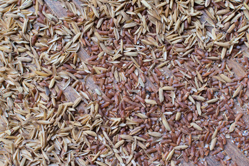brown rice and husk