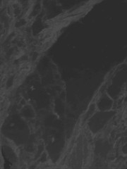 White marble texture Vector background.