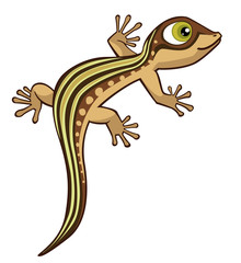 Cute Cartoon Lizard Vector Illustration Isolated on White