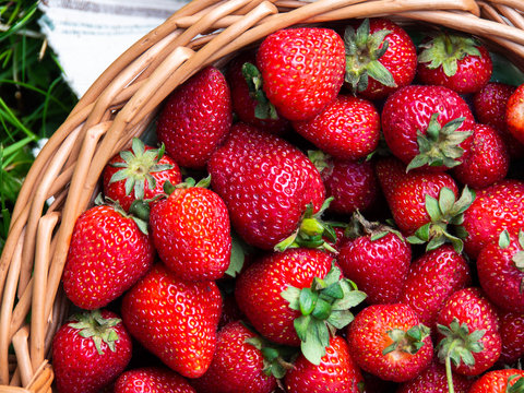 Juicy, fresh, ripe strawberries in a wicker basket. Basket with strawberries on the background of green grass.