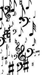 Black Musical Notes on White Background.  Many Random Falling Notes, Bass and Treble Clef.