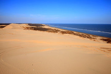 Fototapeta na wymiar The desert by the sea