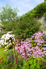 A beautiful summer walled garden border flowerbed