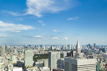 Cityscape of Shinjuku Metropolitan Government Lookout,Tokyo