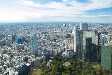 Obraz premium Cityscape of Shinjuku Metropolitan Government Lookout, Tokio
