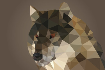 Obraz premium Low Poly Wolf