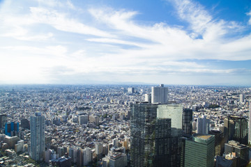 Fototapeta na wymiar Cityscape of Shinjuku Metropolitan Government Lookout,Tokyo