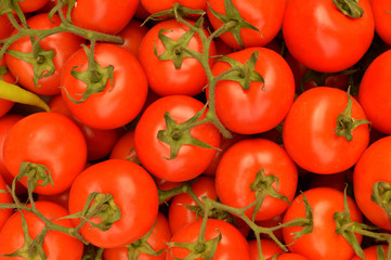 Cherry tomato close up detail - 206456958