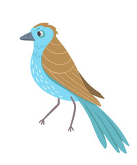 Beautiful bird on white background. Vector illustration.