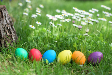 Six colorful Easter hen eggs