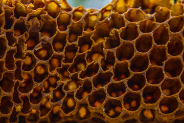 Yellow Honeycombs background