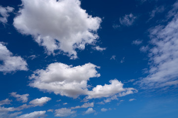 cumulus clouds perfect white in blue sky