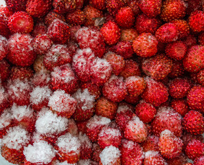 frozen strawberry