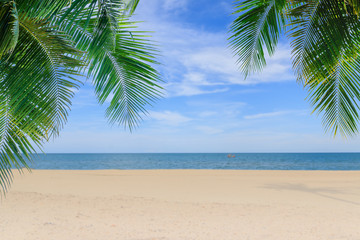 Palm leaf and beach in summer ,concept sea and sky background