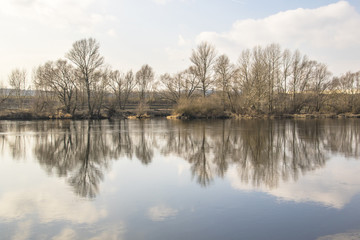 Obraz premium Shadows in the River