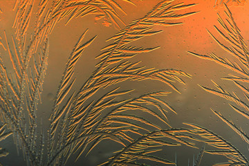 Gold frost drawings on the glass as a background
