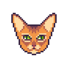 Fototapeta premium Pixel art vector abyssinian cat icon isolated on white background.