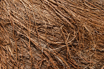 Dry roots are fuzzy, brown dry roots. Abstract background. Texture background.