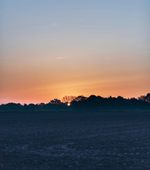 Fototapeta na wymiar Bare agricultural field with trees at sunrise.