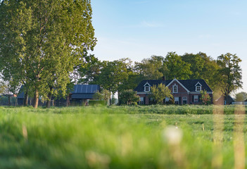 Meadow with trees and farmhouse under blue sky during spring.