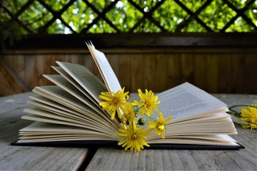 раскрытая книга с цветами