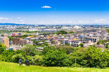 緑の丘から眺める住宅街