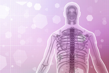 3d render Human lungs and rib