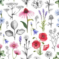 Wild flowers illustrations. Seamless pattern