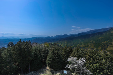 Mountain in Hadano !