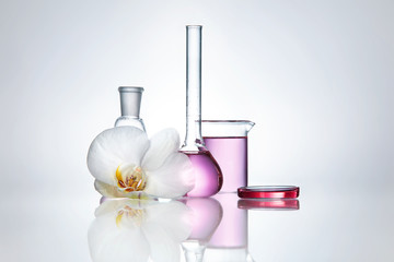 Laboratory Glassware And Flower On White Background