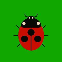 character ladybug icon